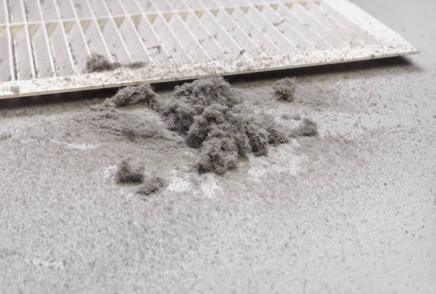 Best Ductwork Cleaning Services  in West Buechel, KY